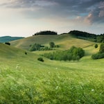 Photo indicating Landscape